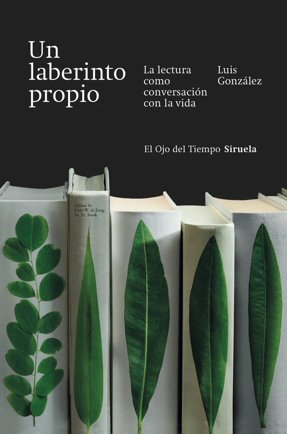 Cubierta de «Un laberinto propio»: lomos de libros claros con hojas verdes prensadas sobre fondo oscuro