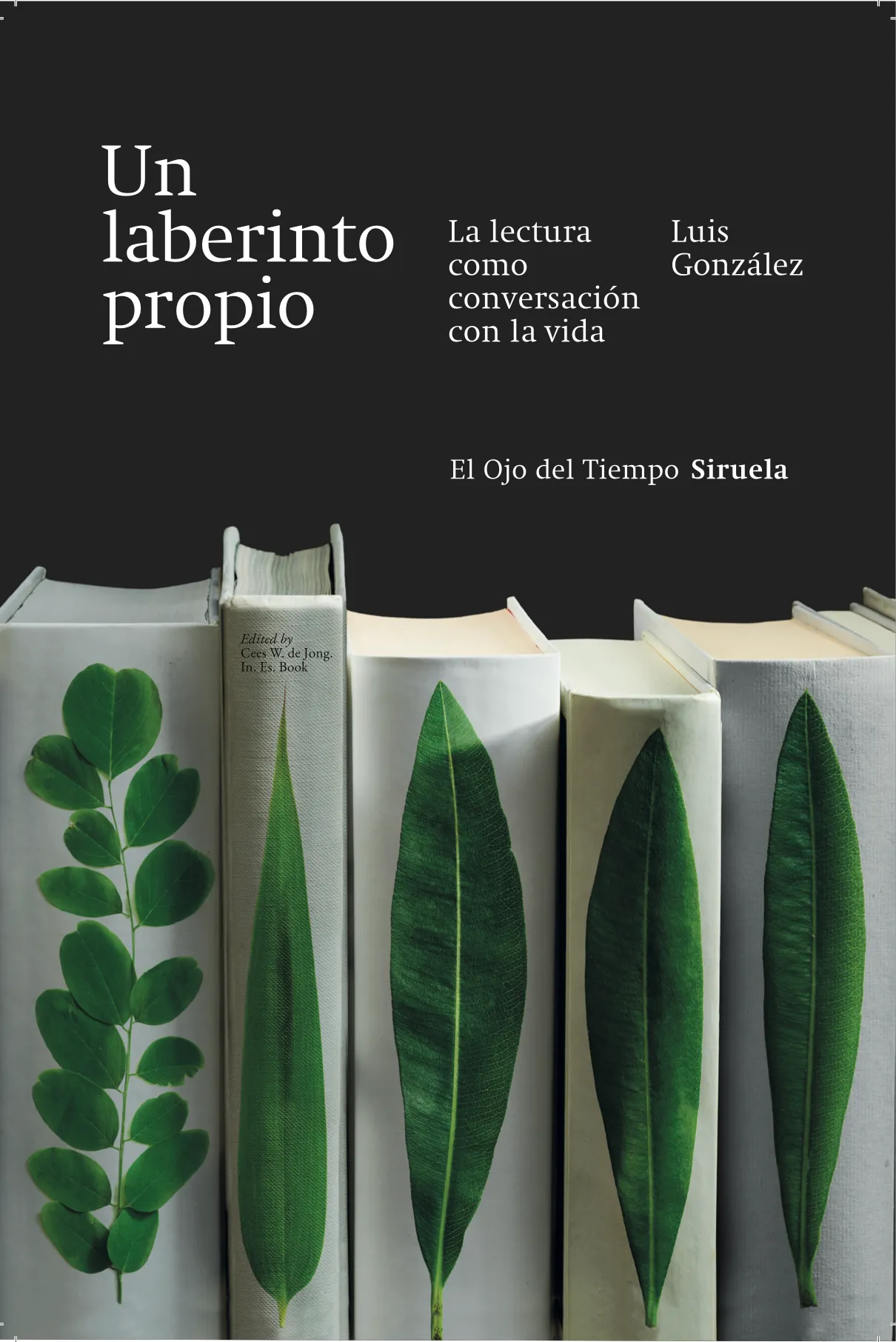 Cubierta de «Un laberinto propio»